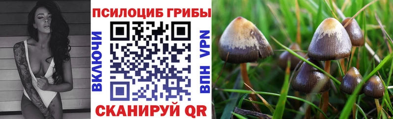 Псилоцибиновые грибы ЛСД  Приволжский 